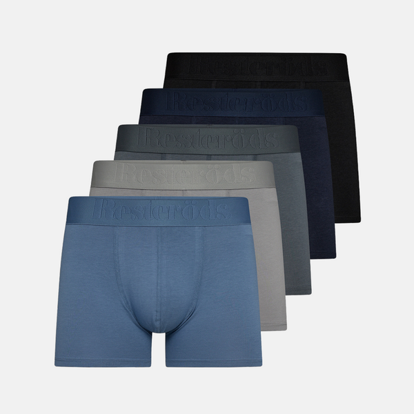 Mixed colored bamboo briefs - 5 pack