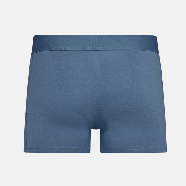 Mixed colored bamboo briefs - 5 pack