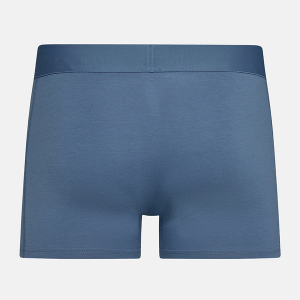 Mixed colored bamboo briefs - 5 pack