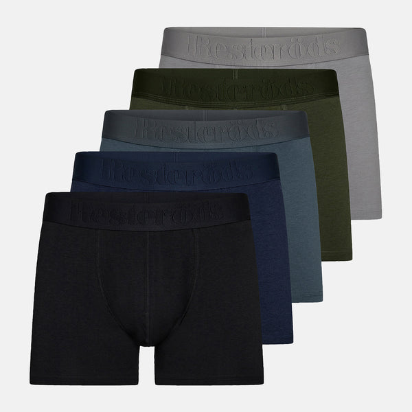 5 pairs of bamboo underwear - black/dark blue/blue/green/gray