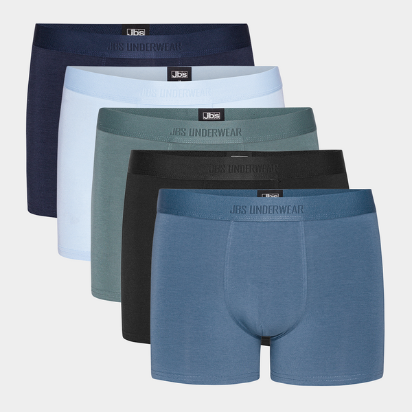 5 pairs of bamboo underwear blue/gray mix